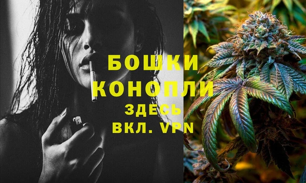круглые Осинники
