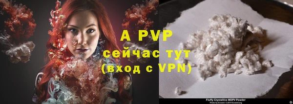 круглые Осинники