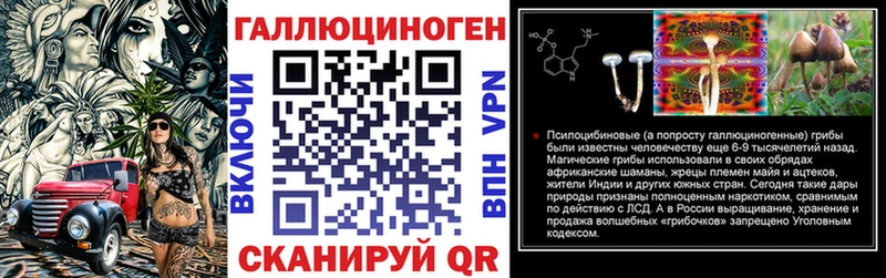 Псилоцибиновые грибы MAGIC MUSHROOMS  наркошоп  Южно-Сухокумск 